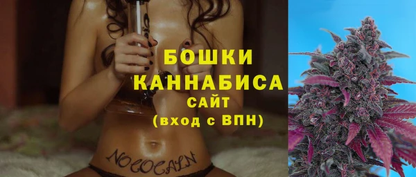 гашик Новокубанск