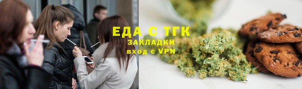 соль ск Новозыбков