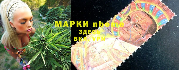 гашик Новокубанск
