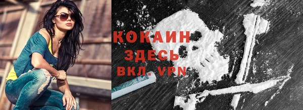 соль ск Новозыбков