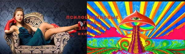 гашишное масло Новодвинск