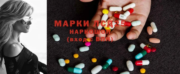 гашик Новокубанск