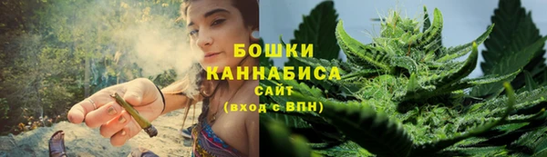 гашик Новокубанск