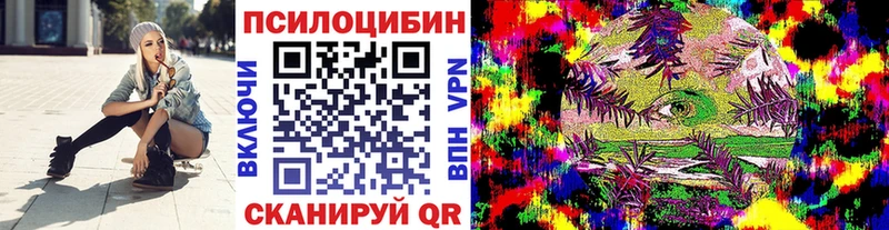 как найти   мега ссылки  мориарти как зайти  Пласт  Псилоцибиновые грибы Psilocybine cubensis 